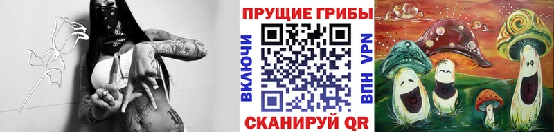 Псилоцибиновые грибы Psilocybine cubensis Новая Усмань