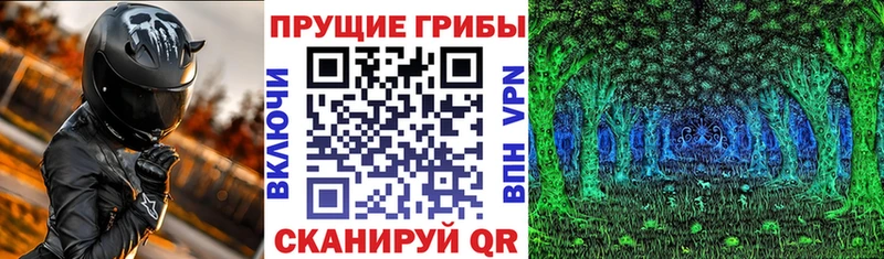 Галлюциногенные грибы Psilocybine cubensis  Новая Усмань 